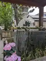 堤治神社の{uncategorized: "未分類", other: "その他", undefined: "問題あり", building: "その他建物", grave: "お墓", sacred_gate: "鳥居", guardian: "狛犬", statue: "像", buddha: "仏像", history: "歴史", nature: "自然", garden: "庭園", animal: "動物", pagoda: "塔", temizu: "手水舎", mountain_gate: "山門・神門", sanctuary: "本殿・本堂", subordinate: "末社・摂社", art: "芸術", scenery: "景色", jizo: "地蔵", ema: "絵馬", goshuin: "御朱印", omikuji: "おみくじ", items: "授与品その他", amulet: "お守り", goshuincho: "御朱印帳", eats: "食事", festival: "お祭り", votive_dance: "神楽", shichigosan: "七五三参", wedding: "結婚式", experience: "体験その他", initially: "初詣", around: "周辺", anti_infection: "感染症対策"}