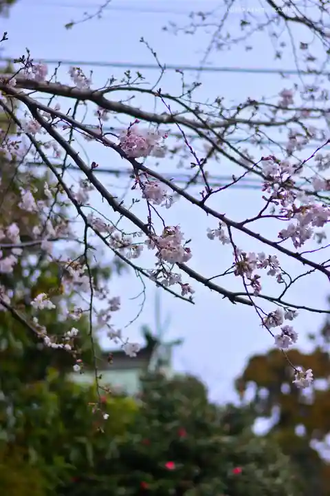 杉山社(神奈川県)