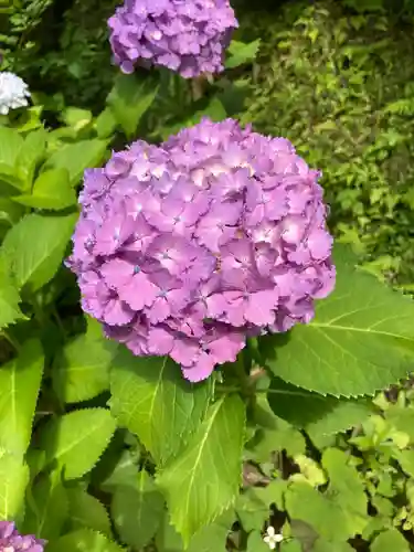 円覚寺(神奈川県)