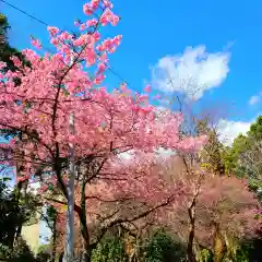 井伊谷宮(静岡県)