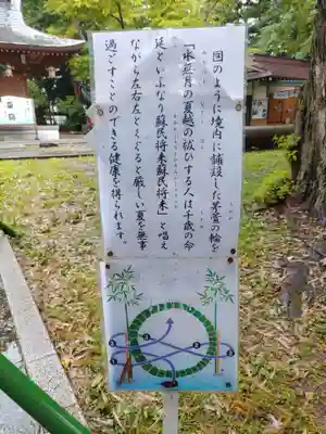 駒形神社(岩手県)