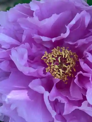 薬師院(兵庫県)