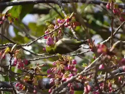 かっぱの寺 栖足寺の自然