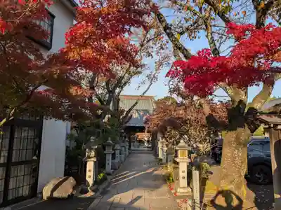 円林寺(東京都)