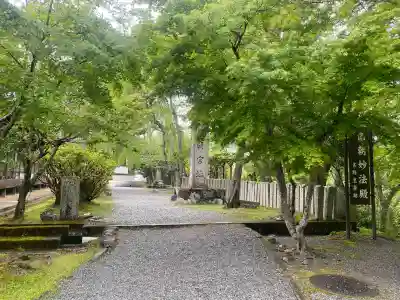 南朝妙法院の{uncategorized: "未分類", other: "その他", undefined: "問題あり", building: "その他建物", grave: "お墓", sacred_gate: "鳥居", guardian: "狛犬", statue: "像", buddha: "仏像", history: "歴史", nature: "自然", garden: "庭園", animal: "動物", pagoda: "塔", temizu: "手水舎", mountain_gate: "山門・神門", sanctuary: "本殿・本堂", subordinate: "末社・摂社", art: "芸術", scenery: "景色", jizo: "地蔵", ema: "絵馬", goshuin: "御朱印", omikuji: "おみくじ", items: "授与品その他", amulet: "お守り", goshuincho: "御朱印帳", eats: "食事", festival: "お祭り", votive_dance: "神楽", shichigosan: "七五三参", wedding: "結婚式", experience: "体験その他", initially: "初詣", around: "周辺", anti_infection: "感染症対策"}