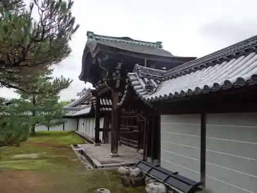 妙心寺（妙心禅寺）(京都府)