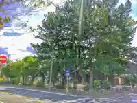 神明社の自然