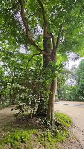 玉作湯神社(島根県)