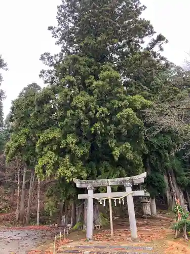 高龗神社(新潟県)