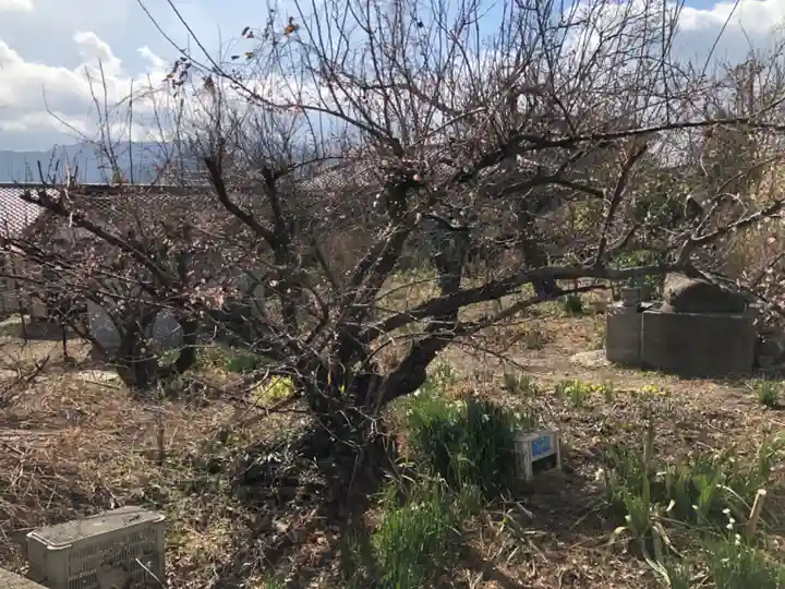 天都賀佐彦神社(徳島県)