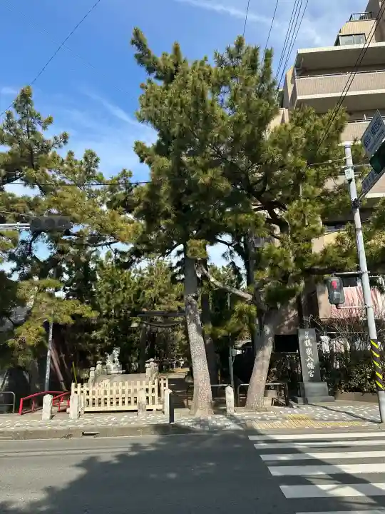 鶴嶺八幡宮の{uncategorized: "未分類", other: "その他", undefined: "問題あり", building: "その他建物", grave: "お墓", sacred_gate: "鳥居", guardian: "狛犬", statue: "像", buddha: "仏像", history: "歴史", nature: "自然", garden: "庭園", animal: "動物", pagoda: "塔", temizu: "手水舎", mountain_gate: "山門・神門", sanctuary: "本殿・本堂", subordinate: "末社・摂社", art: "芸術", scenery: "景色", jizo: "地蔵", ema: "絵馬", goshuin: "御朱印", omikuji: "おみくじ", items: "授与品その他", amulet: "お守り", goshuincho: "御朱印帳", eats: "食事", festival: "お祭り", votive_dance: "神楽", shichigosan: "七五三参", wedding: "結婚式", experience: "体験その他", initially: "初詣", around: "周辺", anti_infection: "感染症対策"}