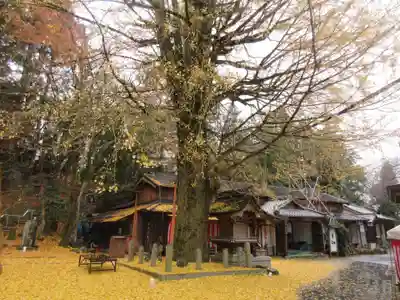 正法寺(滋賀県)