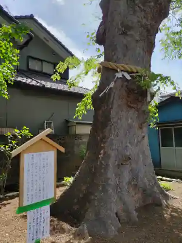 上戸田氷川神社のその他建物
