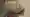 Hir