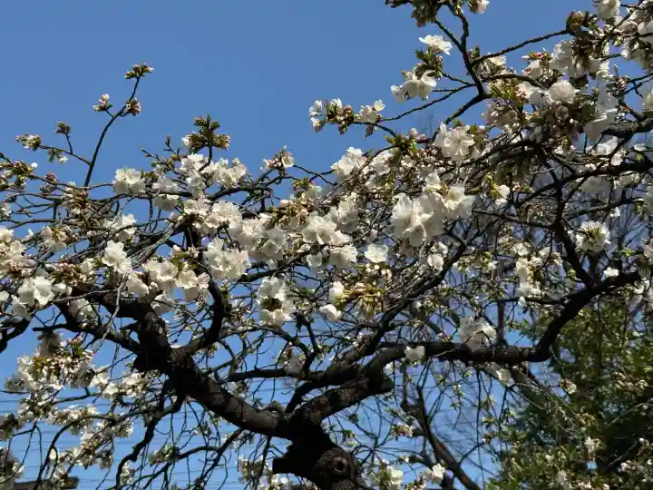 尾久八幡神社の{uncategorized: "未分類", other: "その他", undefined: "問題あり", building: "その他建物", grave: "お墓", sacred_gate: "鳥居", guardian: "狛犬", statue: "像", buddha: "仏像", history: "歴史", nature: "自然", garden: "庭園", animal: "動物", pagoda: "塔", temizu: "手水舎", mountain_gate: "山門・神門", sanctuary: "本殿・本堂", subordinate: "末社・摂社", art: "芸術", scenery: "景色", jizo: "地蔵", ema: "絵馬", goshuin: "御朱印", omikuji: "おみくじ", items: "授与品その他", amulet: "お守り", goshuincho: "御朱印帳", eats: "食事", festival: "お祭り", votive_dance: "神楽", shichigosan: "七五三参", wedding: "結婚式", experience: "体験その他", initially: "初詣", around: "周辺", anti_infection: "感染症対策"}