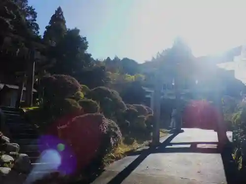 出世稲荷神社の鳥居