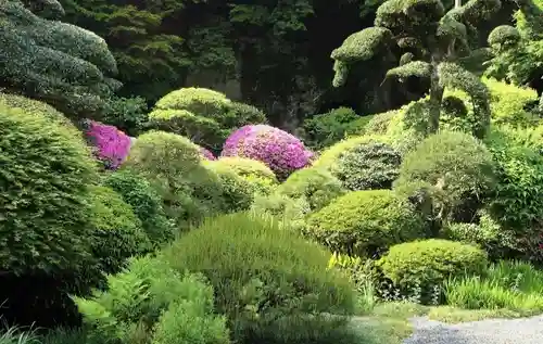 報国寺の庭園