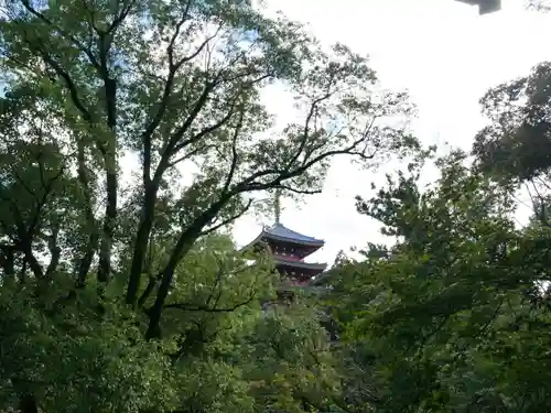 竹林寺の建物その他