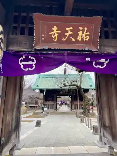 祐天寺の{uncategorized: "未分類", other: "その他", undefined: "問題あり", building: "その他建物", grave: "お墓", sacred_gate: "鳥居", guardian: "狛犬", statue: "像", buddha: "仏像", history: "歴史", nature: "自然", garden: "庭園", animal: "動物", pagoda: "塔", temizu: "手水舎", mountain_gate: "山門・神門", sanctuary: "本殿・本堂", subordinate: "末社・摂社", art: "芸術", scenery: "景色", jizo: "地蔵", ema: "絵馬", goshuin: "御朱印", omikuji: "おみくじ", items: "授与品その他", amulet: "お守り", goshuincho: "御朱印帳", eats: "食事", festival: "お祭り", votive_dance: "神楽", shichigosan: "七五三参", wedding: "結婚式", experience: "体験その他", initially: "初詣", around: "周辺", anti_infection: "感染症対策"}