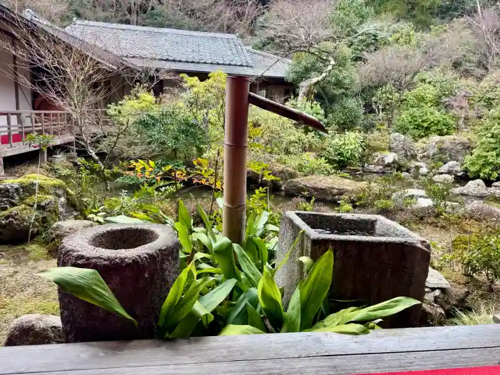 実相院門跡の{uncategorized: "未分類", other: "その他", undefined: "問題あり", building: "その他建物", grave: "お墓", sacred_gate: "鳥居", guardian: "狛犬", statue: "像", buddha: "仏像", history: "歴史", nature: "自然", garden: "庭園", animal: "動物", pagoda: "塔", temizu: "手水舎", mountain_gate: "山門・神門", sanctuary: "本殿・本堂", subordinate: "末社・摂社", art: "芸術", scenery: "景色", jizo: "地蔵", ema: "絵馬", goshuin: "御朱印", omikuji: "おみくじ", items: "授与品その他", amulet: "お守り", goshuincho: "御朱印帳", eats: "食事", festival: "お祭り", votive_dance: "神楽", shichigosan: "七五三参", wedding: "結婚式", experience: "体験その他", initially: "初詣", around: "周辺", anti_infection: "感染症対策"}