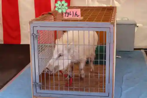 護王神社(京都府)