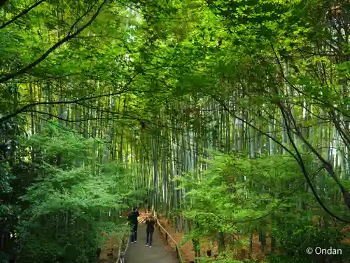 高台寺（高台寿聖禅寺・高臺寺）(京都府)