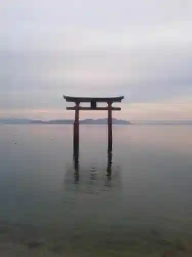 白鬚神社の鳥居