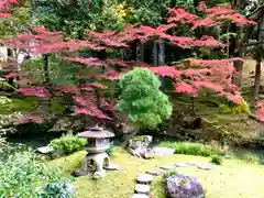 くろ谷 金戒光明寺の庭園