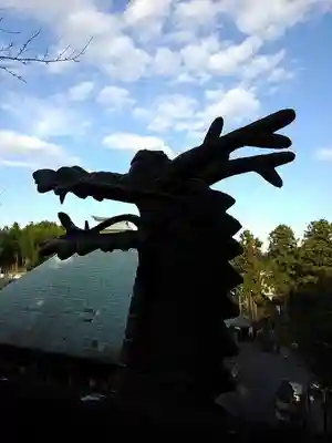 金乗院放光寺の狛犬