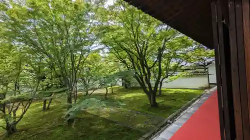 妙覺寺（妙覚寺）(京都府)