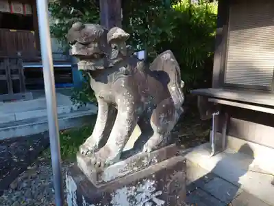 新羽杉山神社の狛犬