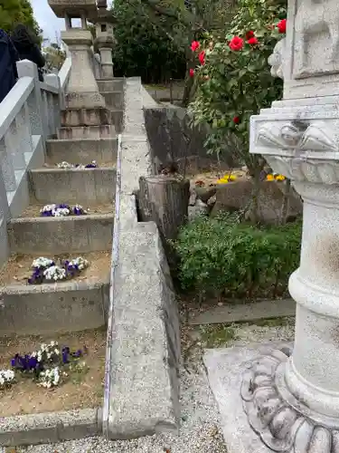 伊和志津神社(兵庫県)