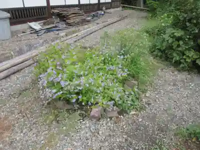 法善寺(埼玉県)