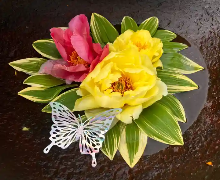 真言宗 善通寺派 薬王寺(香川県)