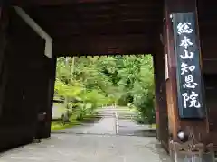 知恩院の山門