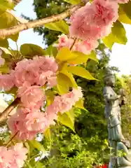 龍華寺の自然