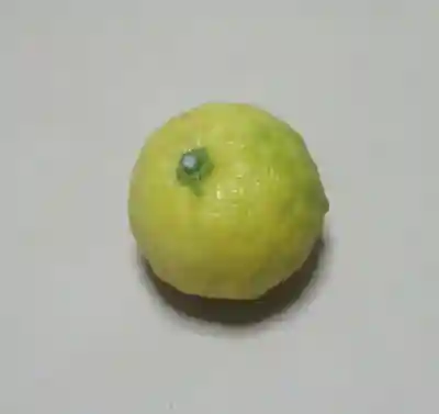 諏訪神社(新潟県)