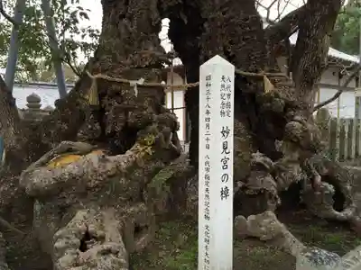 八代神社(熊本県)