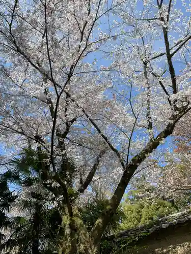 宝聚院(京都府)