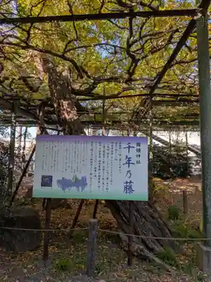 國領神社(東京都)