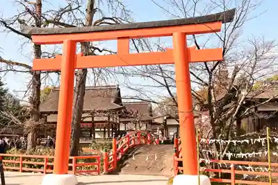賀茂御祖神社（下鴨神社）の鳥居