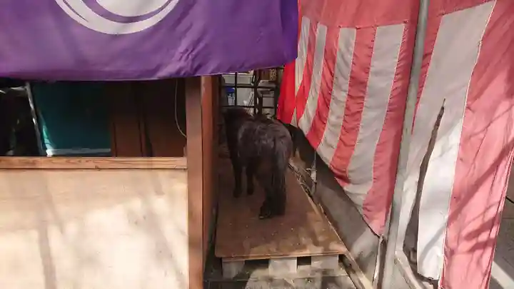 神田神社(神田明神)の動物