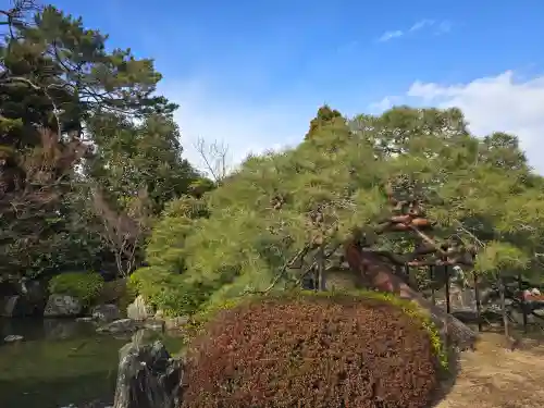 城南宮(京都府)