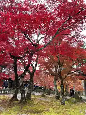 永源寺(滋賀県)