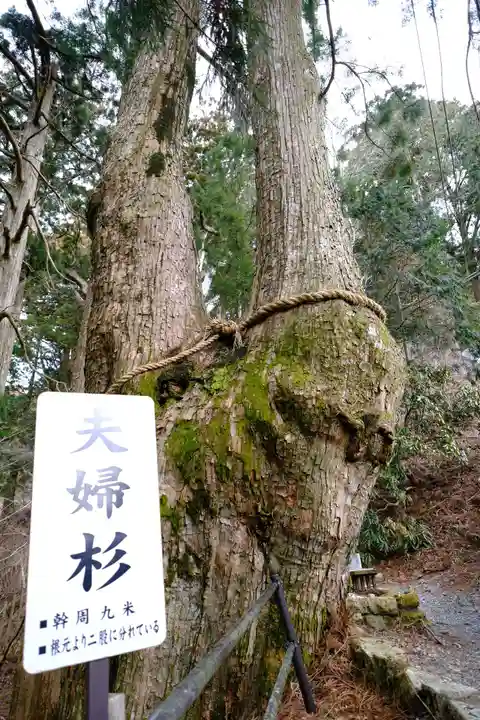 玉置神社の自然