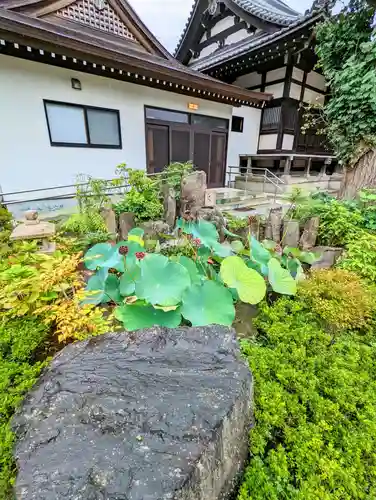 長林寺の庭園