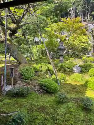 金剛寺(大阪府)