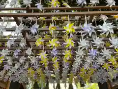 川越氷川神社(埼玉県)