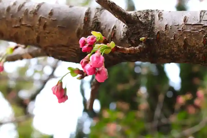 三津厳島神社(愛媛県)