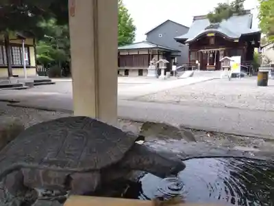 杉杜白髭神社(福井県)